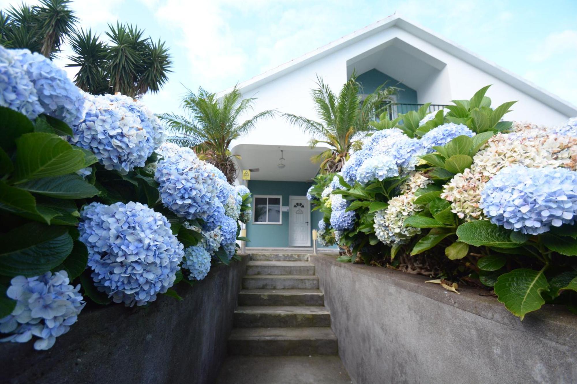 Appartement Casinha das Hortênsias à Horta  Extérieur photo